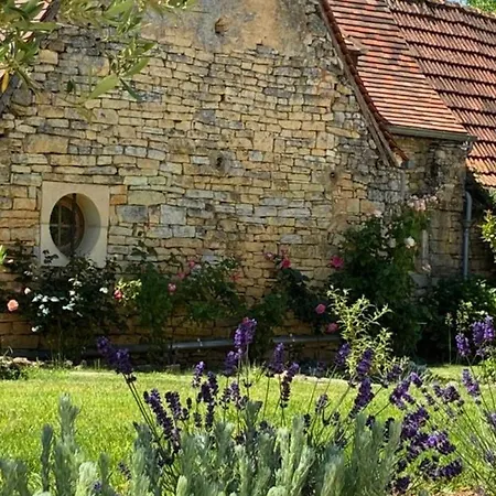 Le Clos Des Rapiettes - Fr-1-616-494 *